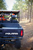 Quail Hunt - Willowin Plantation, Georgia