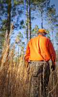 Quail Hunt - Willowin Plantation, Georgia