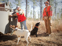 Quail Hunt - Willowin Plantation, Georgia