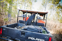 Quail Hunt - Willowin Plantation, Georgia