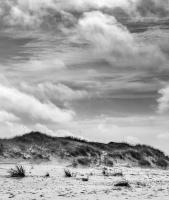 Cape San Blas, FL