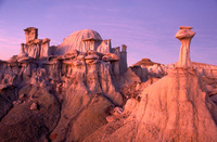 BISTI WILDERNESS, NEW MEXICO