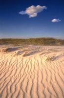 SHACKELFORD BANKS, NORTH CAROLINA