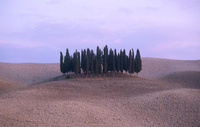 TUSCANY